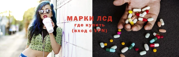 шишки Великий Новгород