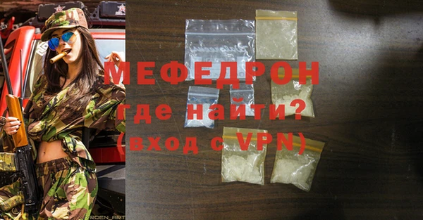 индика Краснослободск