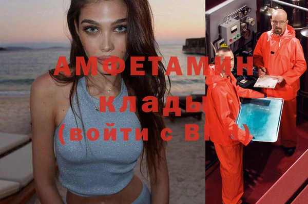 шишки Великий Новгород