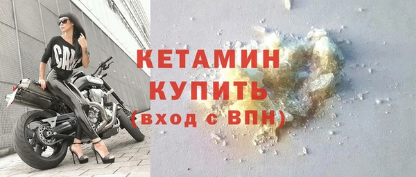 шишки Великий Новгород