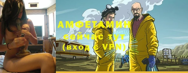 шишки Великий Новгород