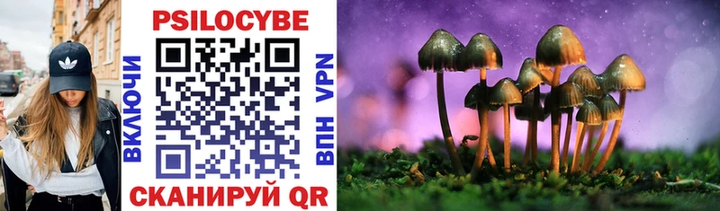 Купить  Верхний Тагил  Галлюциногенные грибы прущие грибы 
